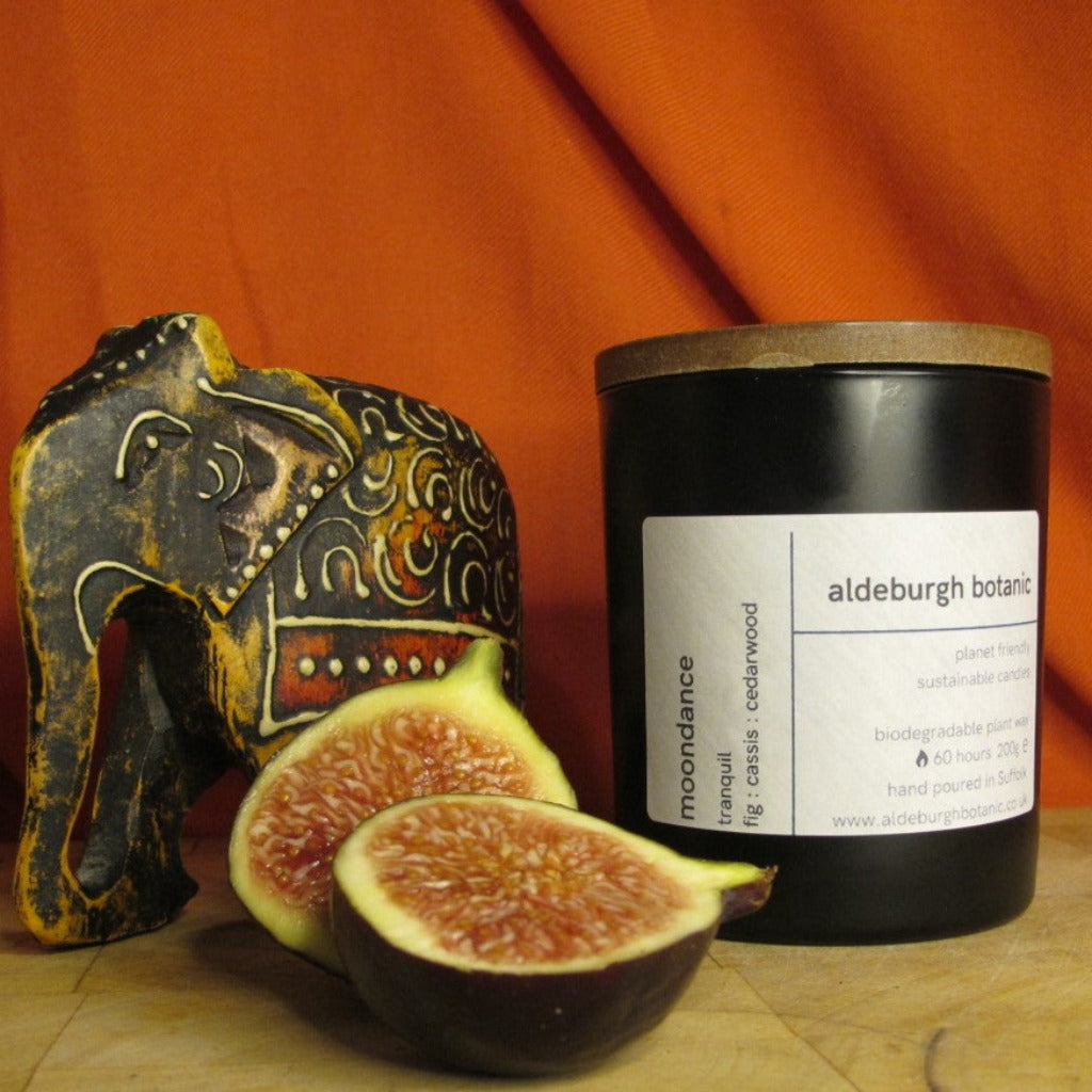 Container Candle - Moondance