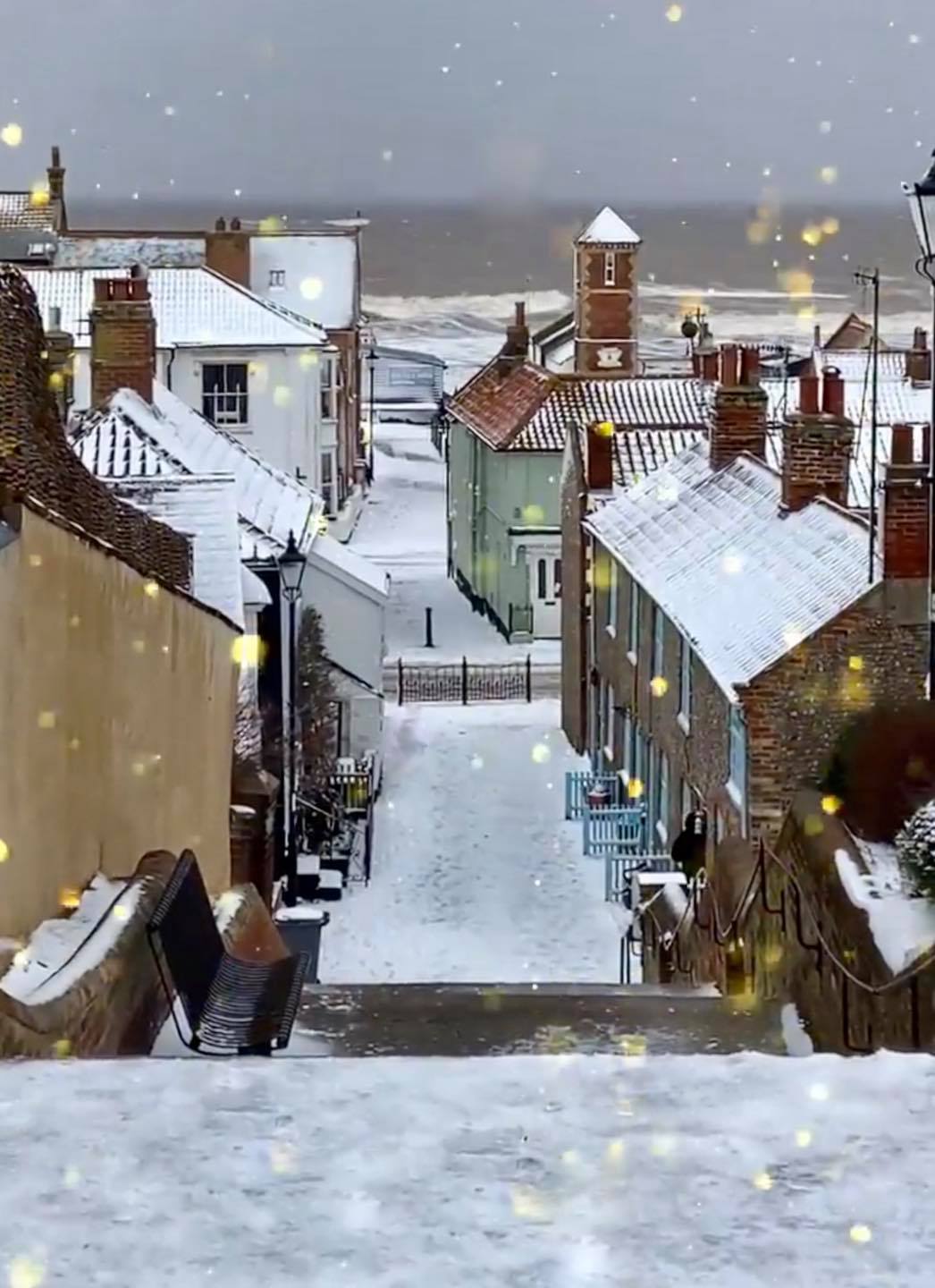 image by Cary Norman