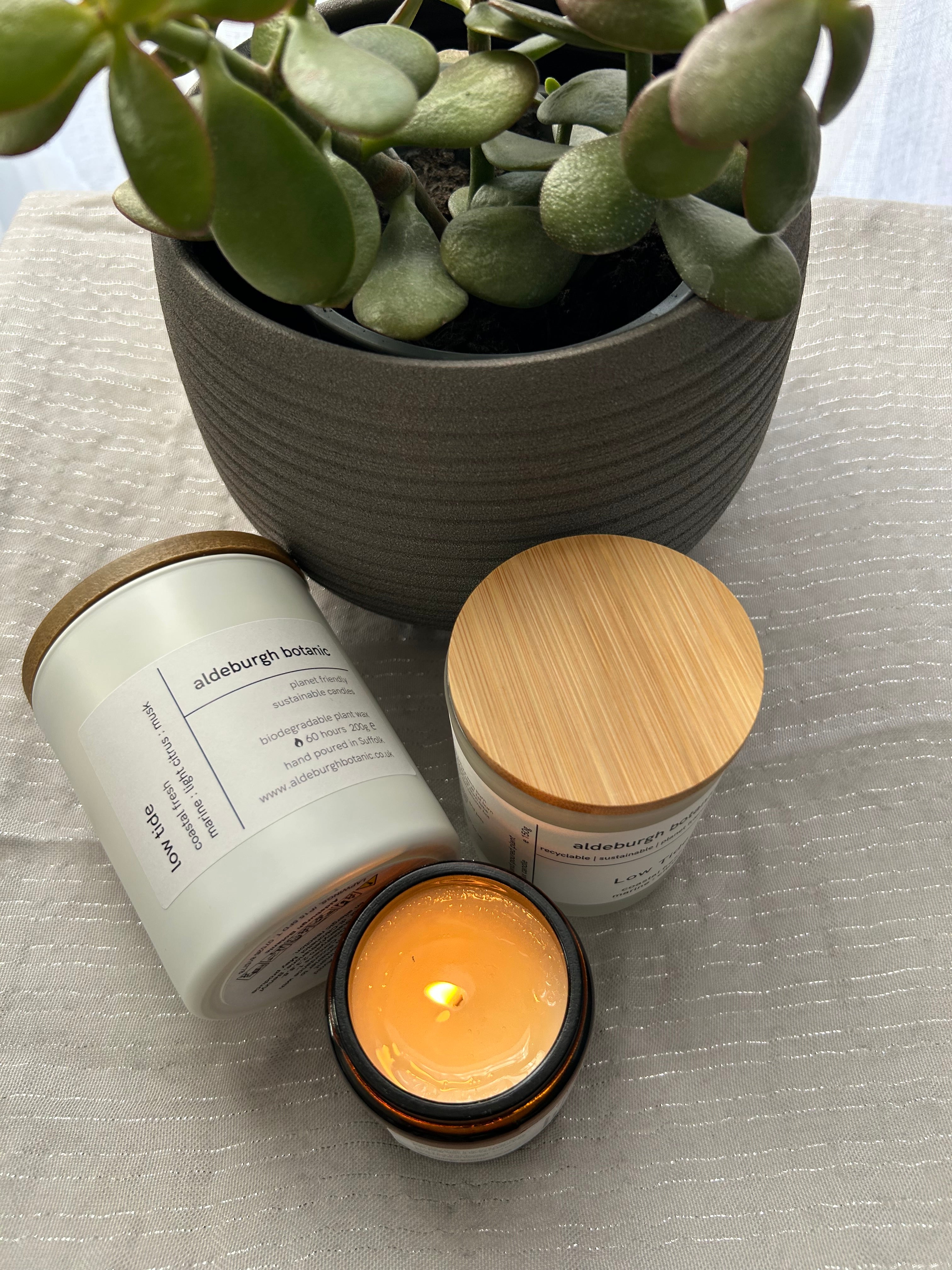 200g Scented Container Candle - Low Tide – Aldeburgh Botanic