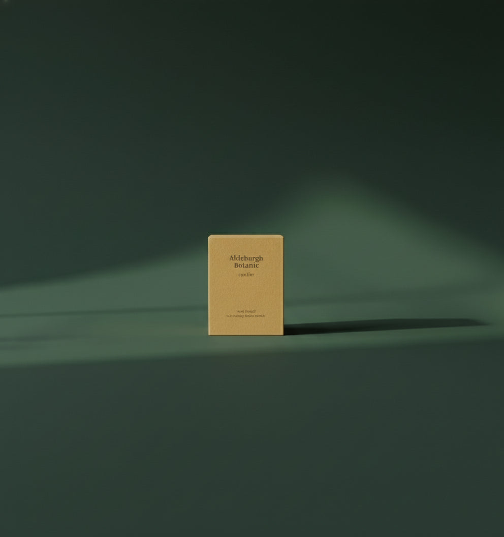 Container Candle - Christmas Candles - Conifer