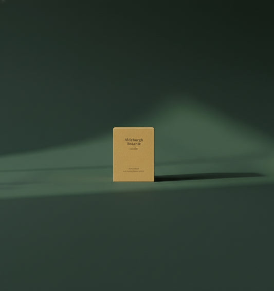 Container Candle - Christmas Candles - Conifer