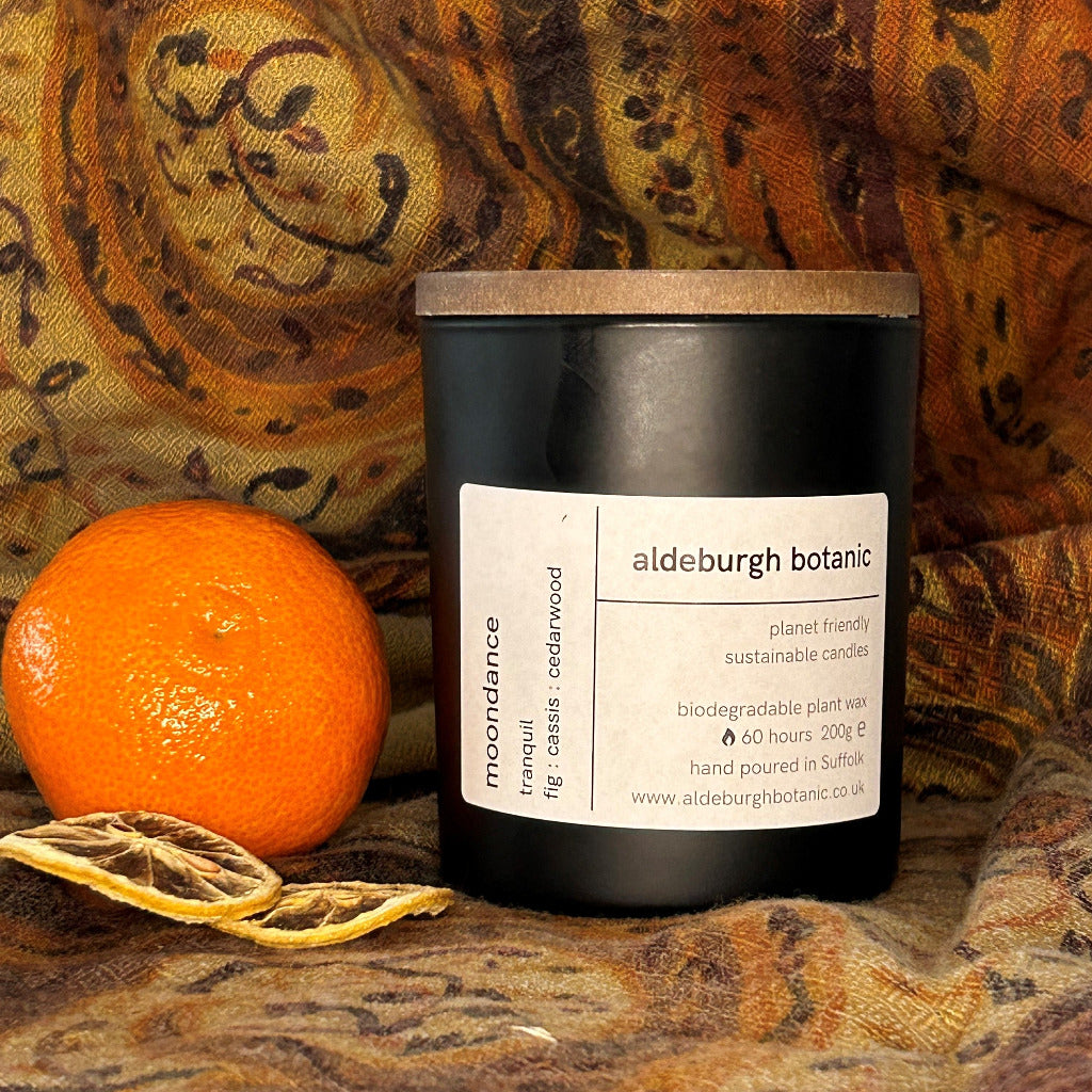 200g Container Candle - Moondance